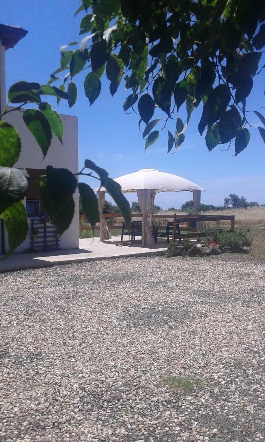 Alma Bed & Breakfast Sennariolo Exterior photo